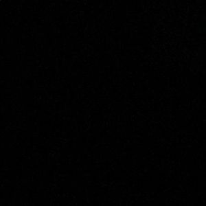 Meet your Posher, Will